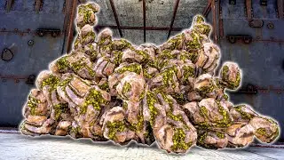 I Found a HUGE Sulfur Ore Stash Hidden Inside the Walls