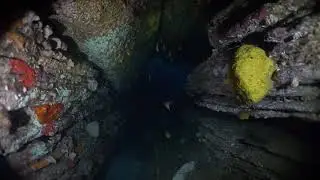 Scuba Diving North Bondi in Sydney