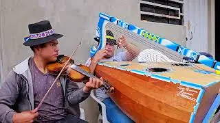 CCANTO DE SABAYNO  Y GATO DE APURIMAC EN MOLLEBAMBA 2024