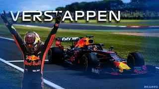 MAX VERSTAPPEN Season Highlights 2019