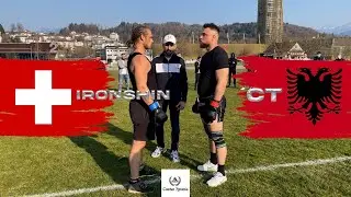 Albanian Bull 