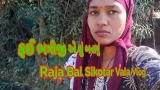 ફઈ ભત્રીજી એ શું બનાયું // Raja Bal Sikofar Vala Vlog 