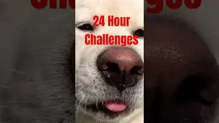 This year I&rsquo;m going ALL IN on YouTube! #challenge #newyear #2026
