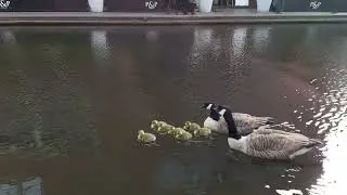 LIL BABIES AND THEIR PARENTS IN BIRMINGHAM CANALS | FAMILY TIME