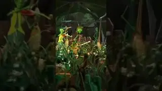 European Animations -Animation part 1