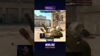 Коробка запечатана! Max не оставил Pain ни шанса! #cs2 #counterstrike