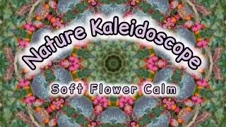 Flower Kaleidoscope &bull; Mandala Visual Meditation &bull; Deep Relax