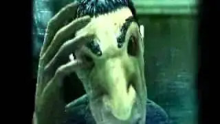 the ark.wmv