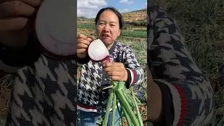 Rural farming life and cutting skills onion eating so fresh #agriculture #onion