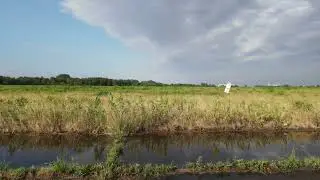 Floyd Bennett Field: Fly Over - video by Terrance Carney