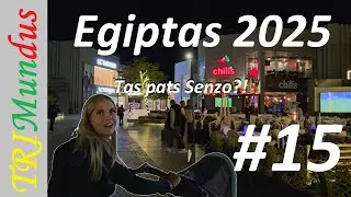 #15 - Egiptas 2025 - Ir vėl tas pats Senzo! Perkam lauktuves!