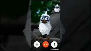 Passarinho AHHHHHHH meme