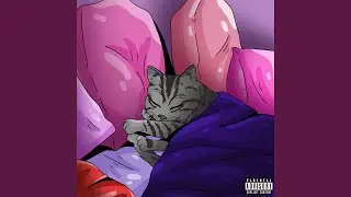 Why Are You Gay! (feat. wolfacejoeyy) (Remix)