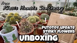 Unboxing plant gifts from Rhea's Humble Sanctuary | Cactus and Succulents | stinky flowers