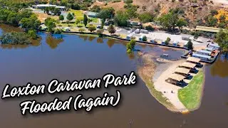 How has Loxton handled the floods ?