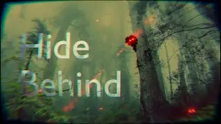 What is a Hidebehind