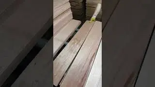 Source of solid wood flooring - selection of raw materials #solidwood#woodflooring