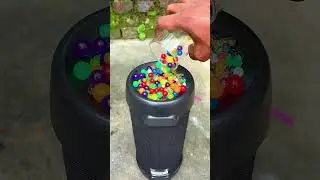 Zebronics colour ball bass