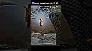 Shri lasksman saved urmila 🥰 from giant snake 🐍😱 || lasksman power 🕉️🚩 || #shorts #jaishreeram