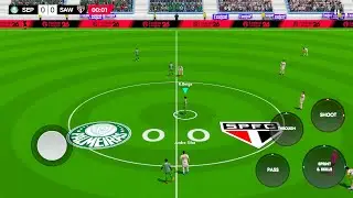 Football League 2026 - CONMEBOL LIBERTADORES - PALMEIRAS