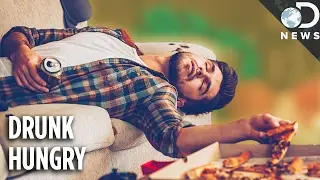 Why Does Food Taste Better When You're Drunk?