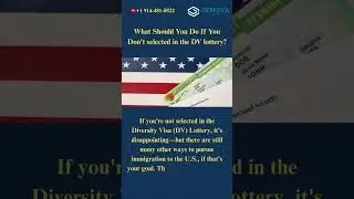 Didn't Win the DV Lottery? Here's What To Do NEXT! 🇺🇸💡#DVLottery #ImmigrationTips #GreenCard