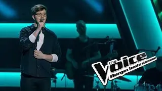 Sindre Steig &ndash; Resolution | Blind Auditions | The Voice Norge 2019