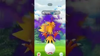 First shadow zapdos raid got lucky 😳
