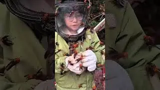 Ci&ograve; che cattura pu&ograve; ucciderla 🥹