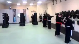 America's Best Tae Kwon Do-Karate and Mixed Martial Arts MMA Class Pharr TX Bag Work