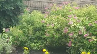 Maplewood YMCA Rochester NY Community in Motion