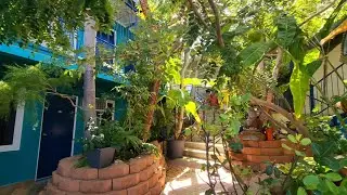 Reef Lodge Hostel In Townsville, North Queensland