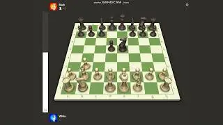 [Chess] Blue Heeler Dog V.S. Red Heeler Dog