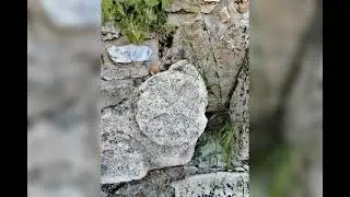 جولة في خربة الدير (الفحيص)Trip Khirbat Ad-Dayr ( Fuheis)