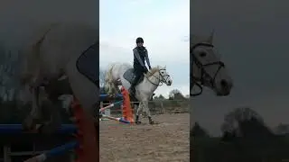My mega horse ❤️