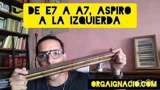 Ignacio Orga y sus ARMÓNICAS ORQUESTALES. HOHNER CHORD 48. Modificación especial de la afinación.