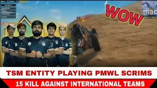 Entity 15 Kills In Single Match Against International Teams in PMWL SCRIMS | PUBG MOBILE | ENTITY