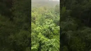 Some chase the rain, some chase waterfalls, I choose both #fyp #shorts #youtubeshorts #darwin #rain