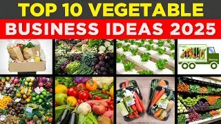 Top 10 Smart Vegetable Business Ideas to Start in 2025 | Beginner-Friendly Options