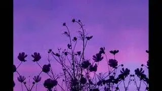 *FREE* EMOTIONAL GUITAR x JUICE WRLD x NICK MIRA TYPE BEAT | "vessels" prod. Ritch Boy