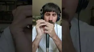 Suzuki SCX48 chromatic harmonica - with wood covers