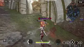 Paragon never taunt a Countess