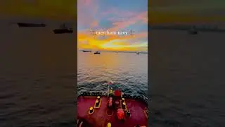 #merchantnavy #sealife #shiplife #adventure