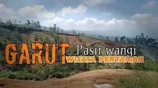 pesona alam dan perkebunan pasirwangi Garut Jawa barat