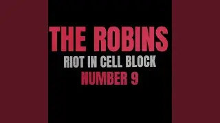 Riot In Cell Block Number 9
