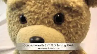 Commonwealth 24