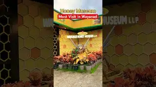 Honey museum Wayanad | best tourist places in Wayand |Kerala🌿🤤🔗click on above link for full vlog