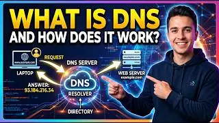 What is DNS and How Does it Work 🌐