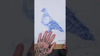 NYC Pigeon art! Each print gets a unique inscription on the back #art #pigeon #pigeonart #nyc