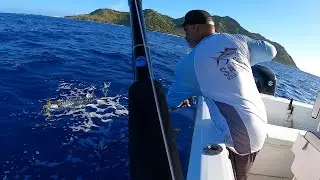 Early Season Wahoo Fishing Puerto Rico